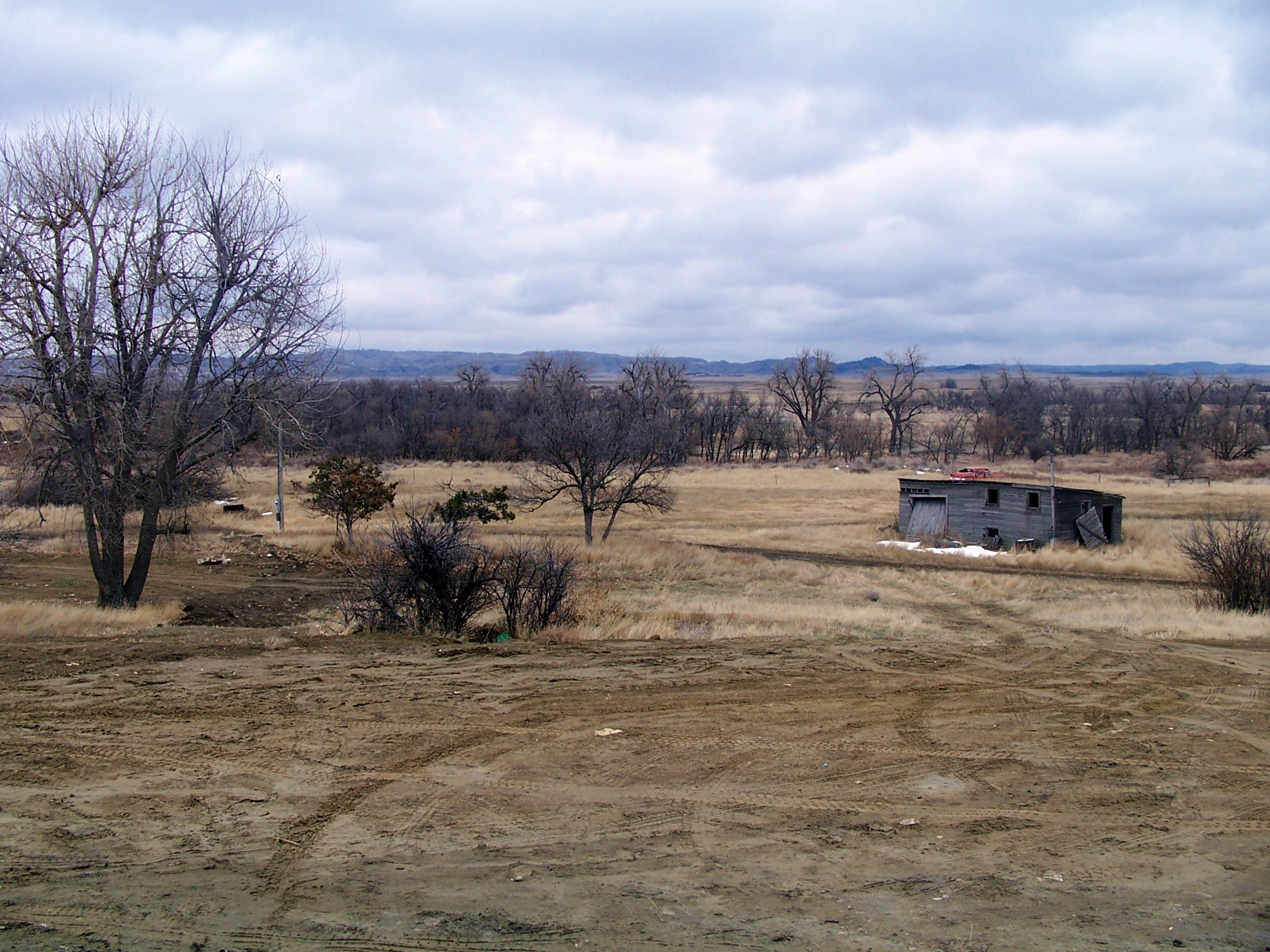 View from Cabin